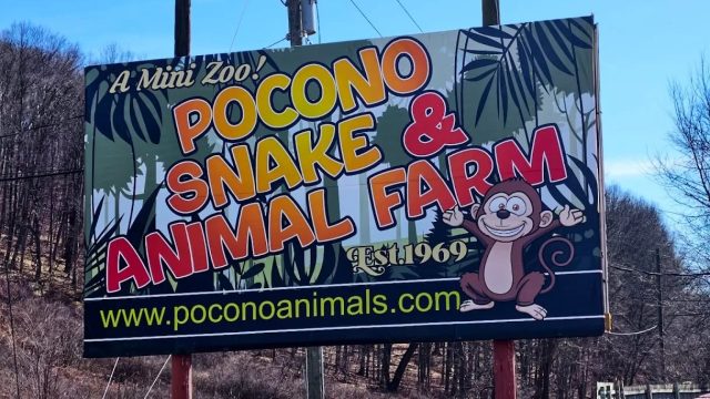Pocono Snake & Animal Farm