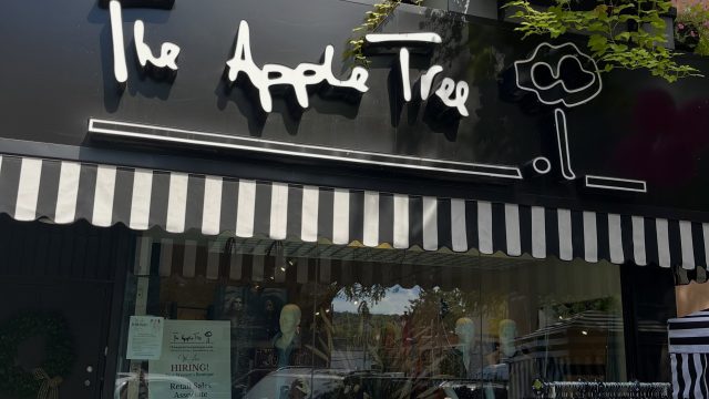 The Apple Tree