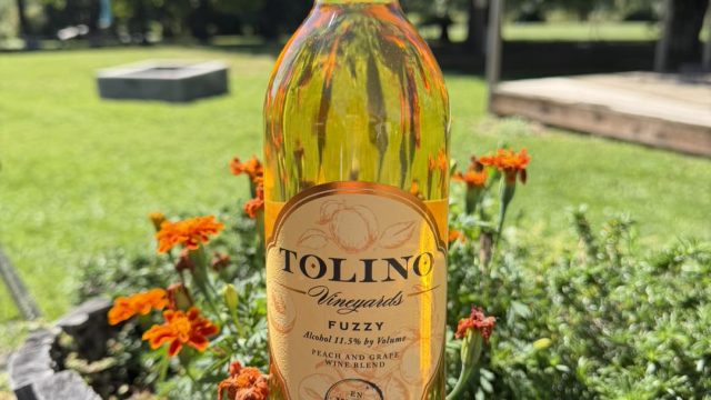 tolinovineyards_bangor