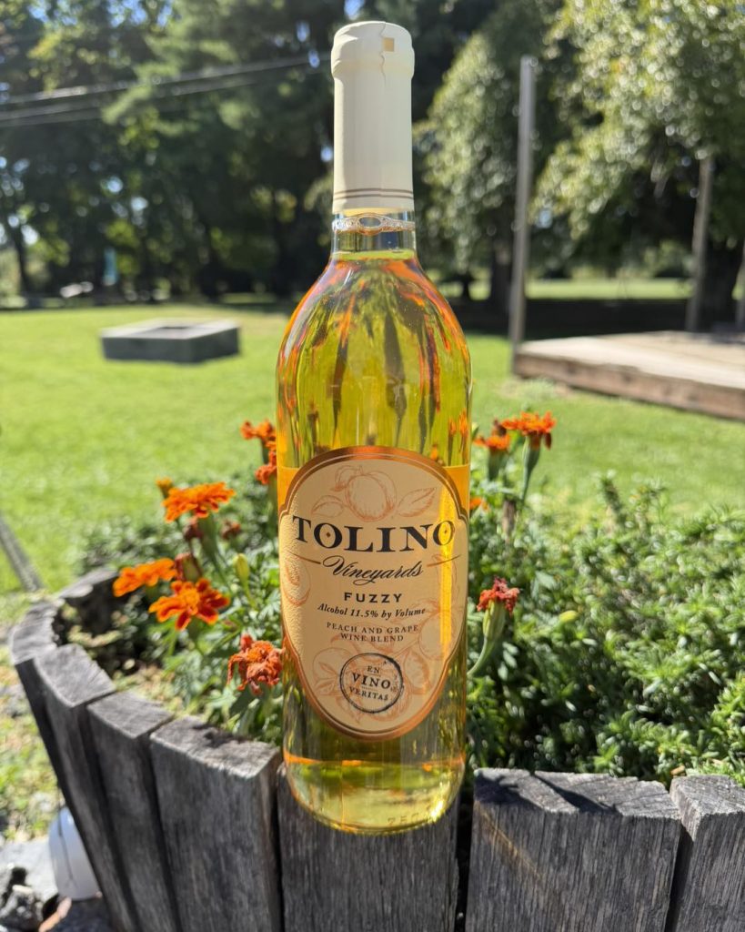 tolinovineyards_bangor